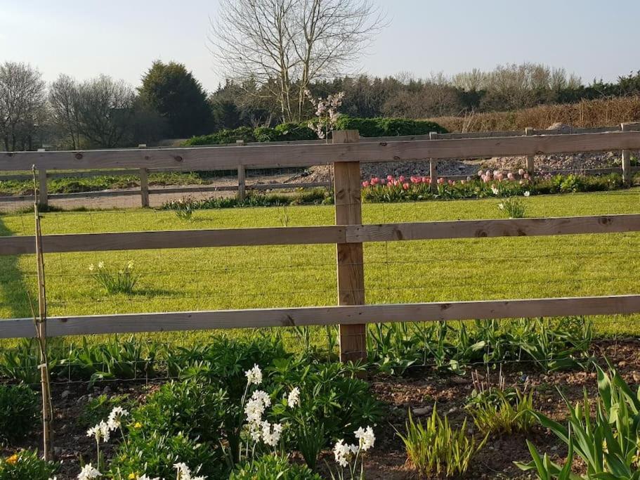 Sweet Meadow Apartamento Exeter